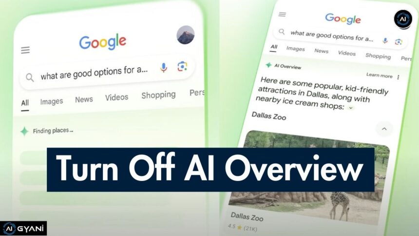 Turn Off AI Overview